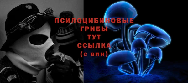 ГАЛЛЮЦИНОГЕННЫЕ ГРИБЫ Кулебаки
