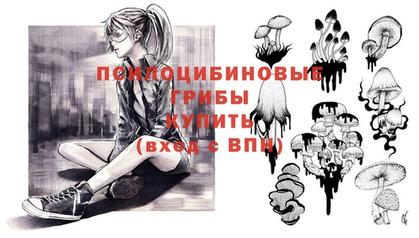 ГАЛЛЮЦИНОГЕННЫЕ ГРИБЫ Кулебаки
